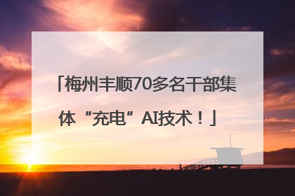 梅州丰顺70多名干部集体“充电”AI技术！
