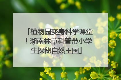 植物园变身科学课堂！湖南林草科普带小学生探秘自然王国