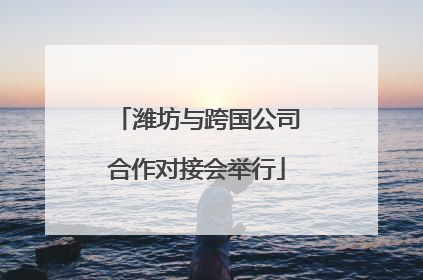 潍坊与跨国公司合作对接会举行