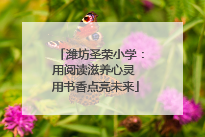 潍坊圣荣小学：用阅读滋养心灵 用书香点亮未来