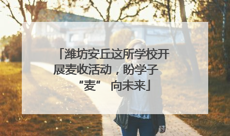 潍坊安丘这所学校开展麦收活动，盼学子 “麦” 向未来