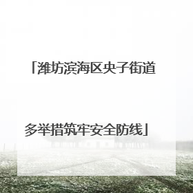 潍坊滨海区央子街道多举措筑牢安全防线