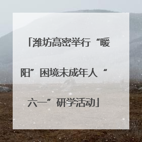 潍坊高密举行“暖阳”困境未成年人“六一”研学活动