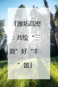 潍坊高密：共绘“三夏”好“丰”景