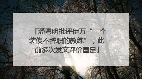 潘粤明批评伊万“一个装傻不辞职的教练”，此前多次发文评价国足