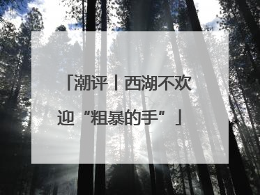 潮评丨西湖不欢迎“粗暴的手”
