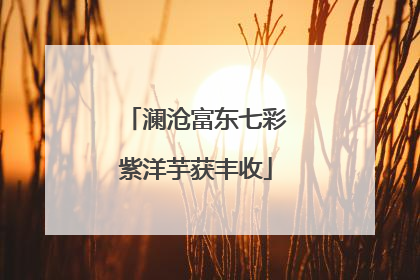 澜沧富东七彩紫洋芋获丰收