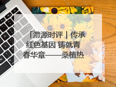 澧源时评｜传承红色基因 铸就青春华章——桑植热土上的青春长征