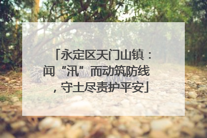 永定区天门山镇：闻“汛”而动筑防线，守土尽责护平安