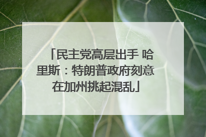 民主党高层出手 哈里斯：特朗普政府刻意在加州挑起混乱
