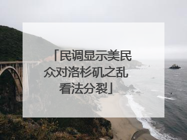 民调显示美民众对洛杉矶之乱看法分裂