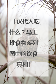 汉代人吃什么？马王堆食物系列图中的饮食真相