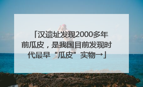 汉遗址发现2000多年前瓜皮，是我国目前发现时代最早“瓜皮”实物→