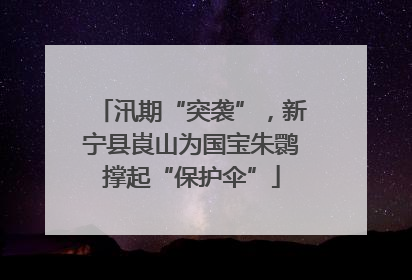汛期“突袭”，新宁县崀山为国宝朱鹮撑起“保护伞”