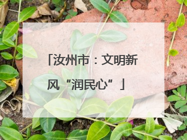 汝州市：文明新风“润民心”