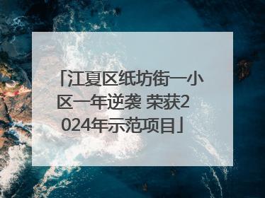 江夏区纸坊街一小区一年逆袭 荣获2024年示范项目