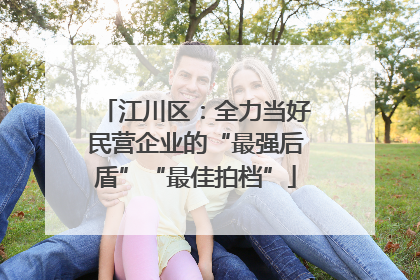 江川区：全力当好民营企业的“最强后盾”“最佳拍档”