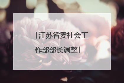 江苏省委社会工作部部长调整
