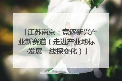 江苏南京：竞逐新兴产业新赛道（走进产业地标·发展一线探变化）