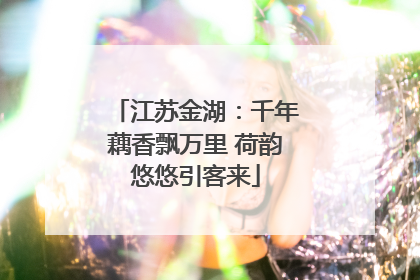 江苏金湖：千年藕香飘万里 荷韵悠悠引客来