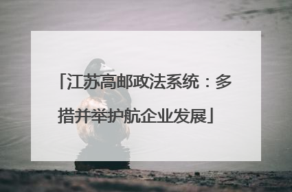 江苏高邮政法系统：多措并举护航企业发展