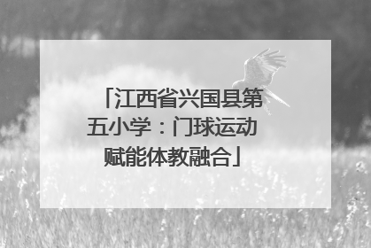 江西省兴国县第五小学：门球运动赋能体教融合
