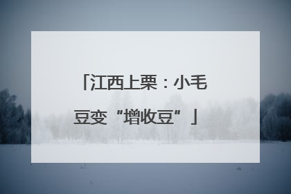 江西上栗：小毛豆变“增收豆”