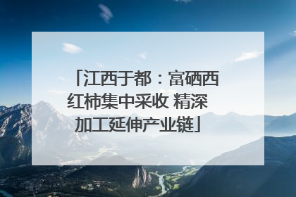 江西于都：富硒西红柿集中采收 精深加工延伸产业链