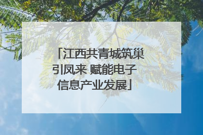 江西共青城筑巢引凤来 赋能电子信息产业发展