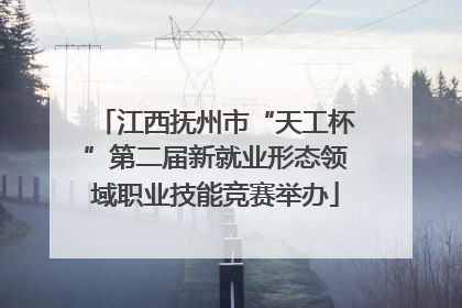 江西抚州市“天工杯”第二届新就业形态领域职业技能竞赛举办