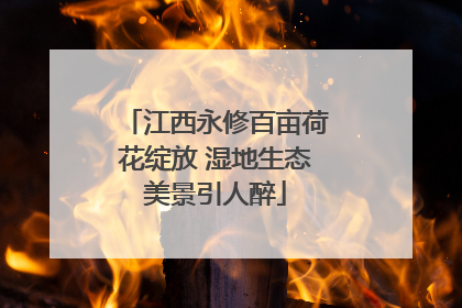 江西永修百亩荷花绽放 湿地生态美景引人醉