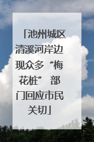 池州城区清溪河岸边现众多“梅花桩” 部门回应市民关切