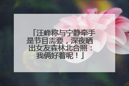 汪峰称与宁静牵手是节目需要，深夜晒出女友森林北合照：我俩好着呢！