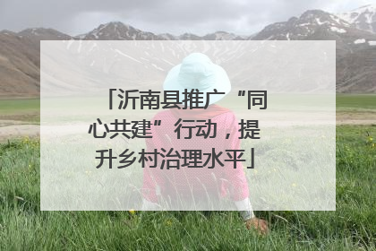 沂南县推广“同心共建”行动，提升乡村治理水平