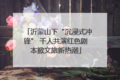 沂蒙山下“沉浸式冲锋” 千人共演红色剧本掀文旅新热潮