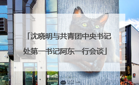 沈晓明与共青团中央书记处第一书记阿东一行会谈