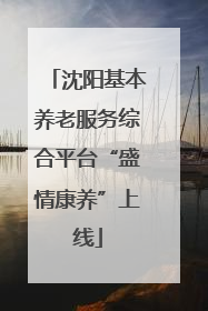 沈阳基本养老服务综合平台“盛情康养”上线