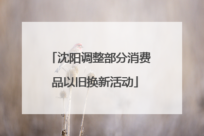 沈阳调整部分消费品以旧换新活动