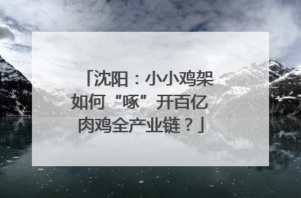 沈阳：小小鸡架如何“啄”开百亿肉鸡全产业链？