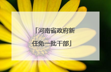 河南省政府新任免一批干部