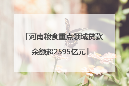 河南粮食重点领域贷款余额超2595亿元