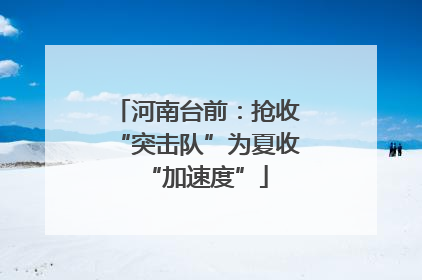 河南台前：抢收“突击队”为夏收“加速度”