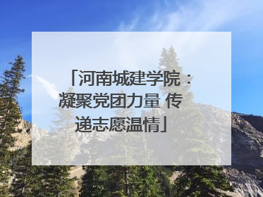 河南城建学院：凝聚党团力量 传递志愿温情