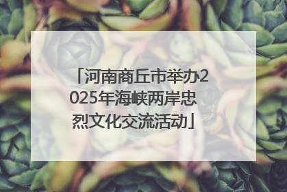 河南商丘市举办2025年海峡两岸忠烈文化交流活动