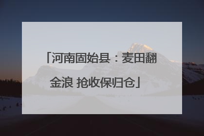 河南固始县：麦田翻金浪 抢收保归仓