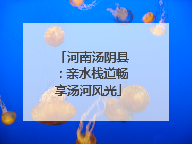 河南汤阴县：亲水栈道畅享汤河风光