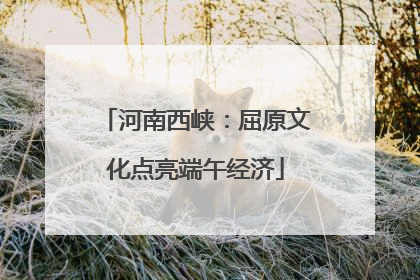 河南西峡：屈原文化点亮端午经济