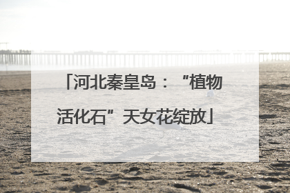 河北秦皇岛：“植物活化石”天女花绽放