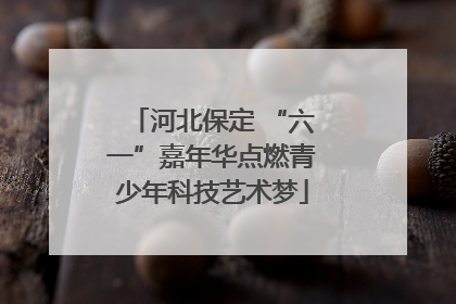 河北保定 “六一”嘉年华点燃青少年科技艺术梦
