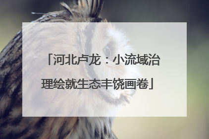 河北卢龙：小流域治理绘就生态丰饶画卷